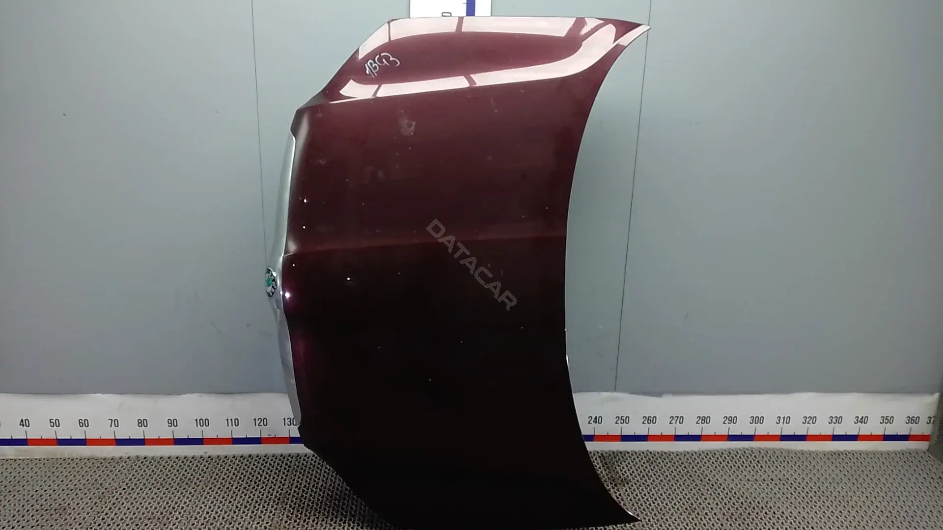 Капот 1BG03D201