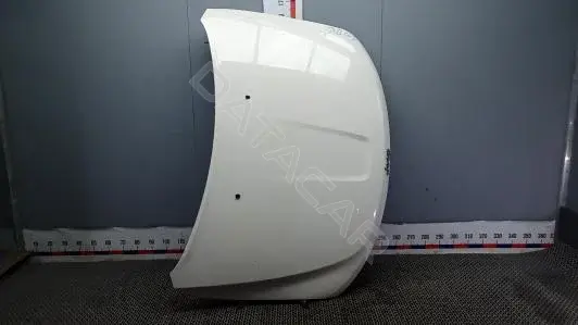 Капот 3BG05D201