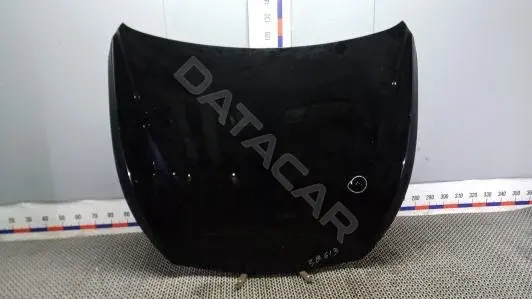 Капот 3BG13D201