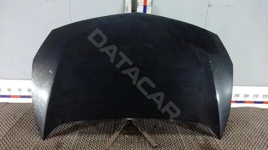 Капот DLK09D201