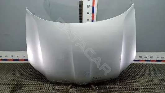 Капот 5L0823031