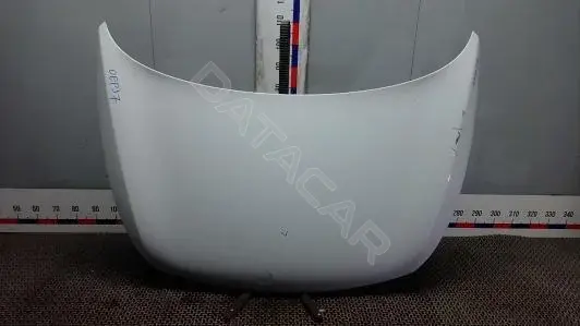Капот 664003W000