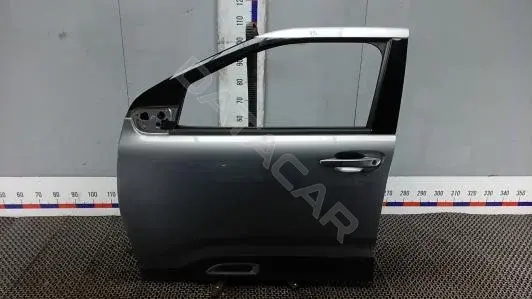 Дверь FA101EN01