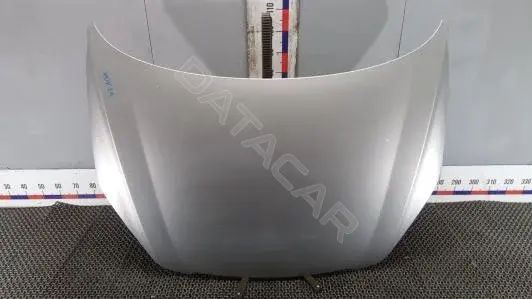 Капот XOK29D201