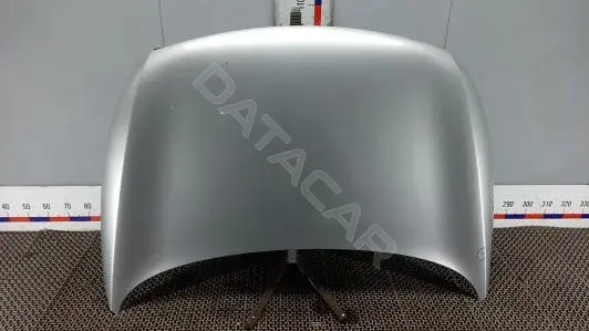 Капот ZOK79D201
