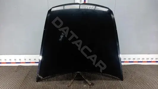 Капот HBM10D201