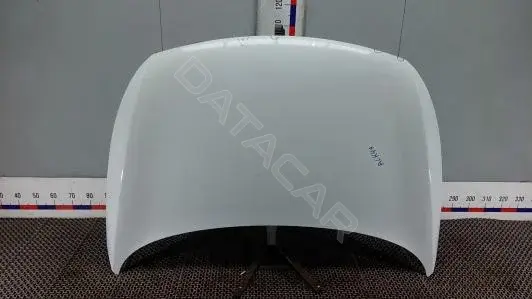Капот ALK49D201