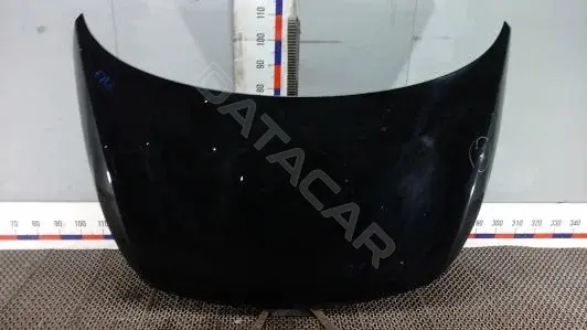 Капот 664003W000