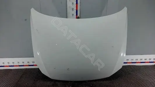Капот FA116D201