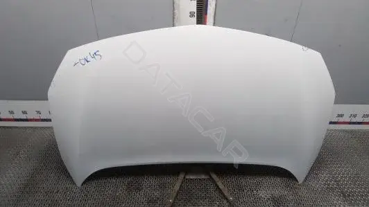 Капот TOK45D201