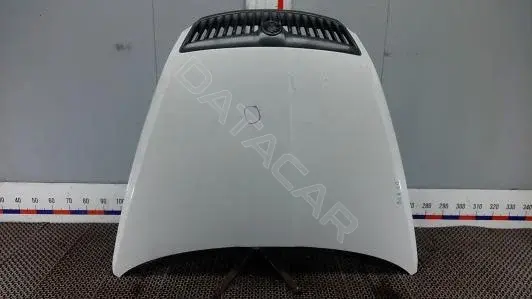 Капот DLK10D201
