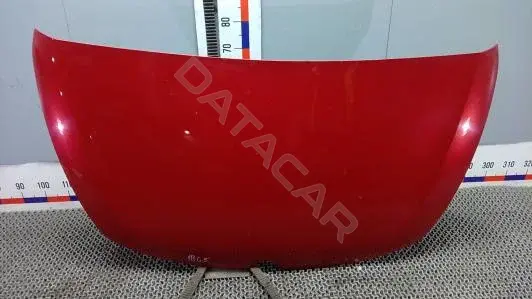 Капот 1BG05D201