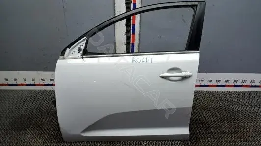 Дверь ROK14EN01