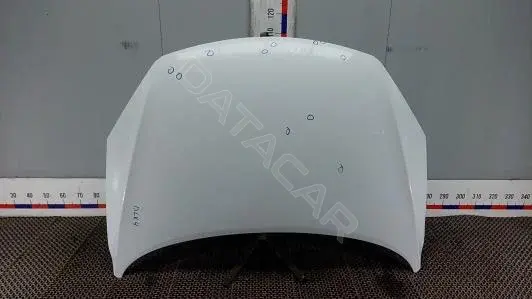 Капот DLK04D201