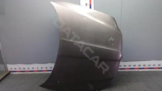 Капот 3T0823031