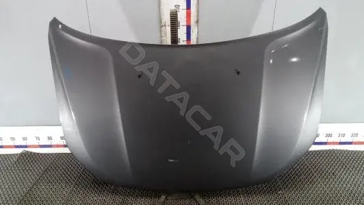 Капот XOK24D201