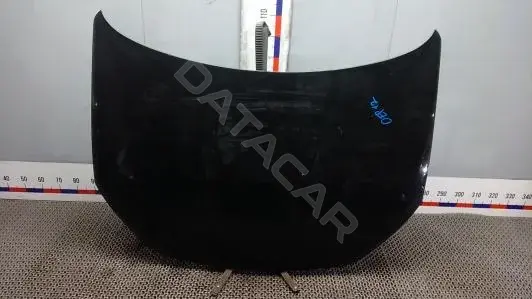 Капот OEP12D201
