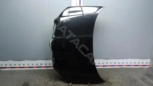 Капот 5L0823031