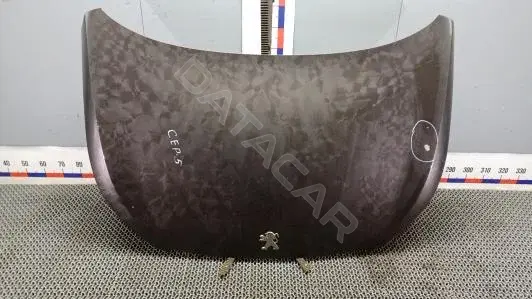 Капот CEP05D201