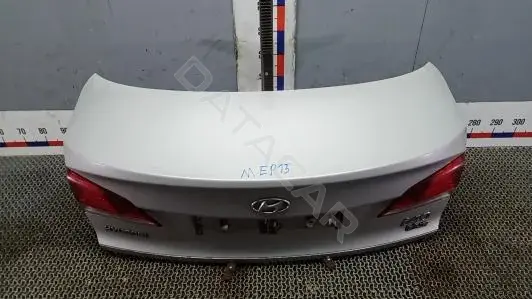 Крышка багажника 692003Z310
