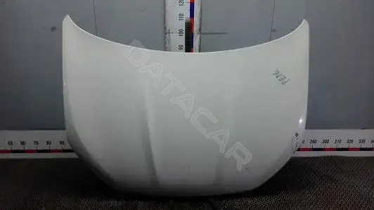 Капот F5100BR0MC