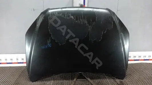 Капот BLK45D201