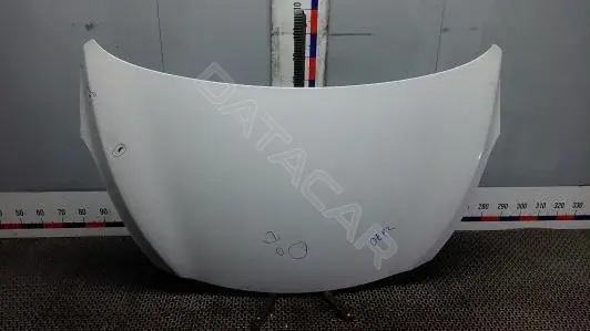 Капот OEP02D201