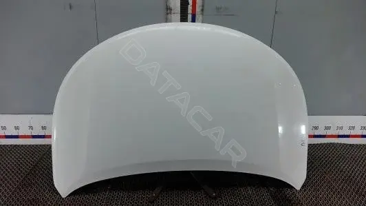 Капот BLK32D201