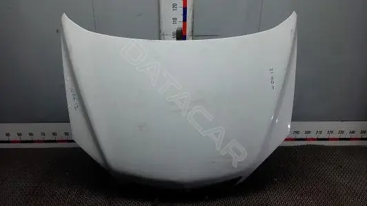 Капот WOK12D201