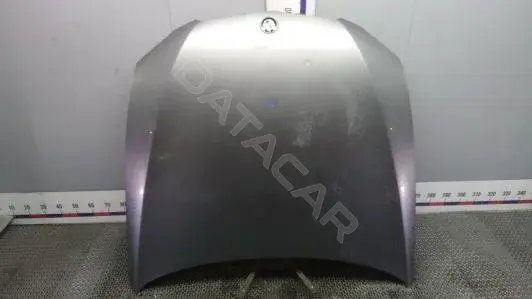 Капот TOK44D201