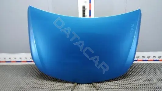 Капот AEP10D201
