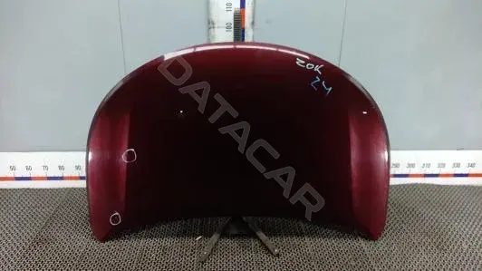 Капот ZOK24D201