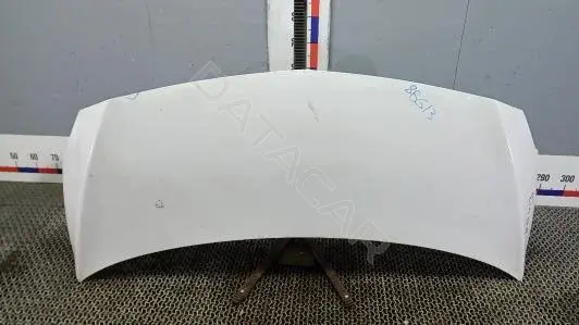 Капот 8BG13D201