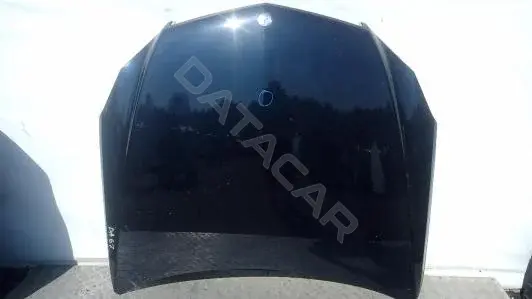Капот BAG07D201