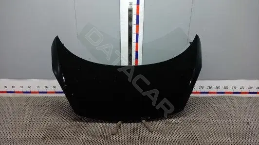 Капот 1BG11D201