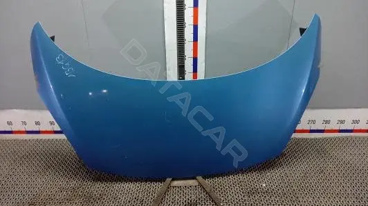 Капот 1BG13D201