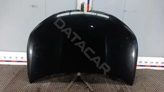 Капот DLK29D201