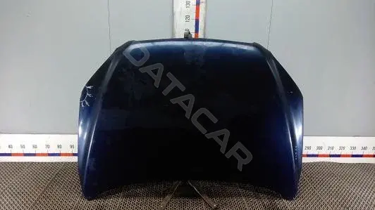 Капот CLK16D201