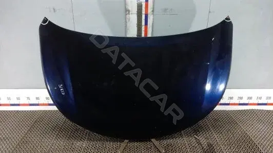 Капот BLK17D201
