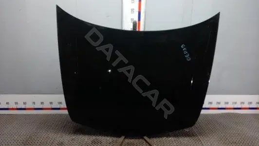 Капот OEP39D201