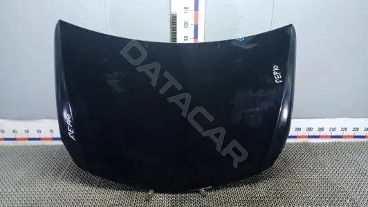 Капот FEP10D201