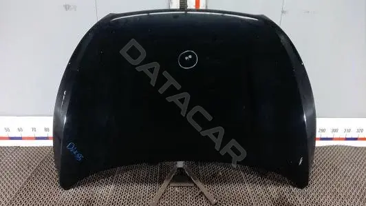 Капот 664002Y001