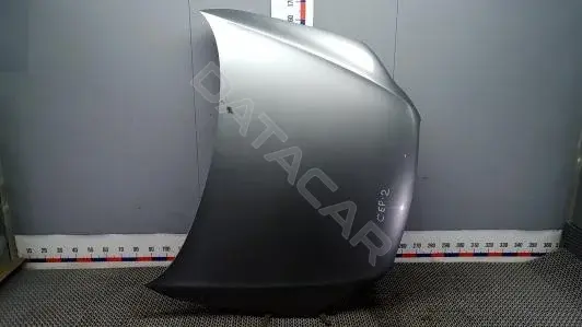 Капот 4L0823029A