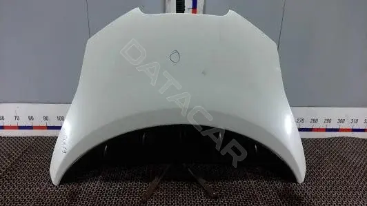 Капот DLK19D201