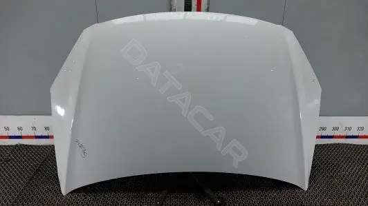 Капот ZOK35D201
