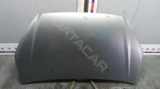 Капот TOK58D201