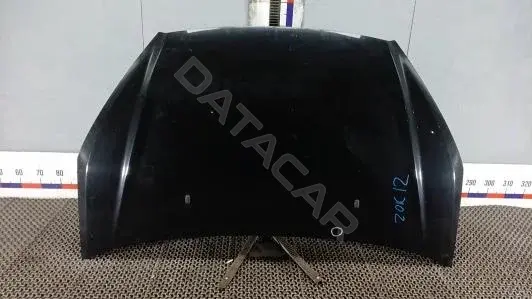 Капот ZOK12D201