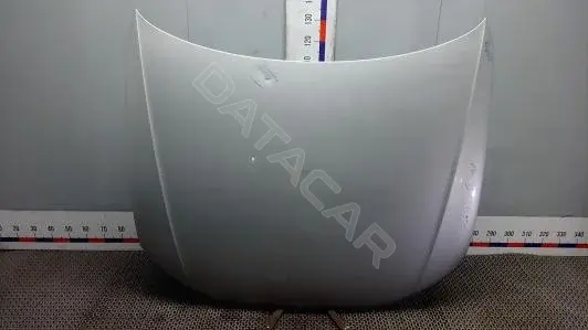 Капот OEP18D201