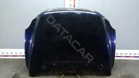 Капот 8BG04D201