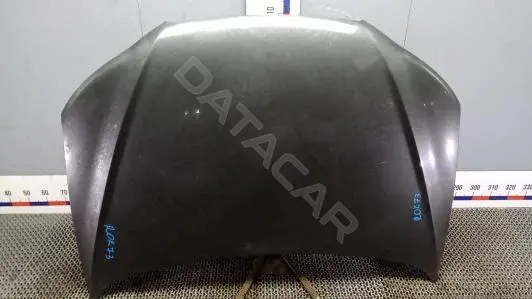Капот 664002B030